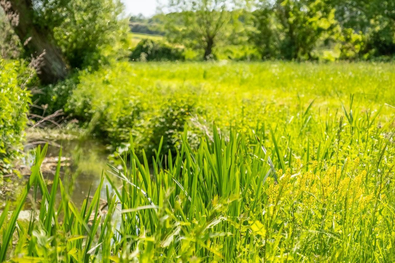Ultimate Constable Country Rural Retreat - The Pump House Villa Colchester Exteriör bild
